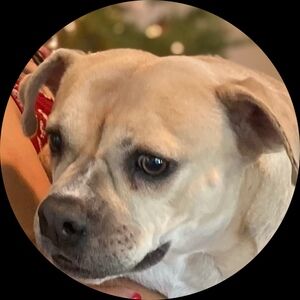 Meet your Posher, Brenda